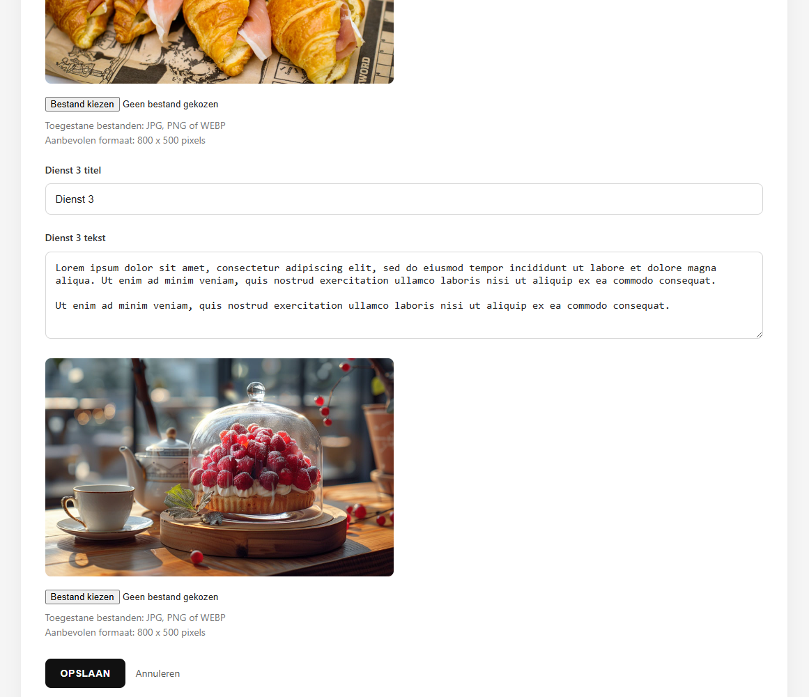 Screenshot van homepage bewerken